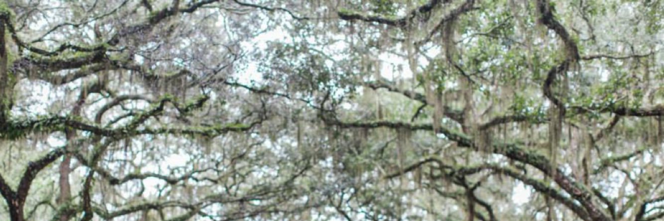 RonnieLaFave's profile banner image