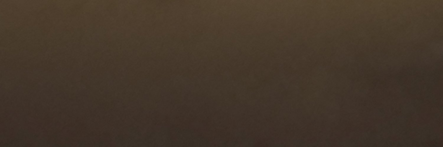 Freegun sagging banner