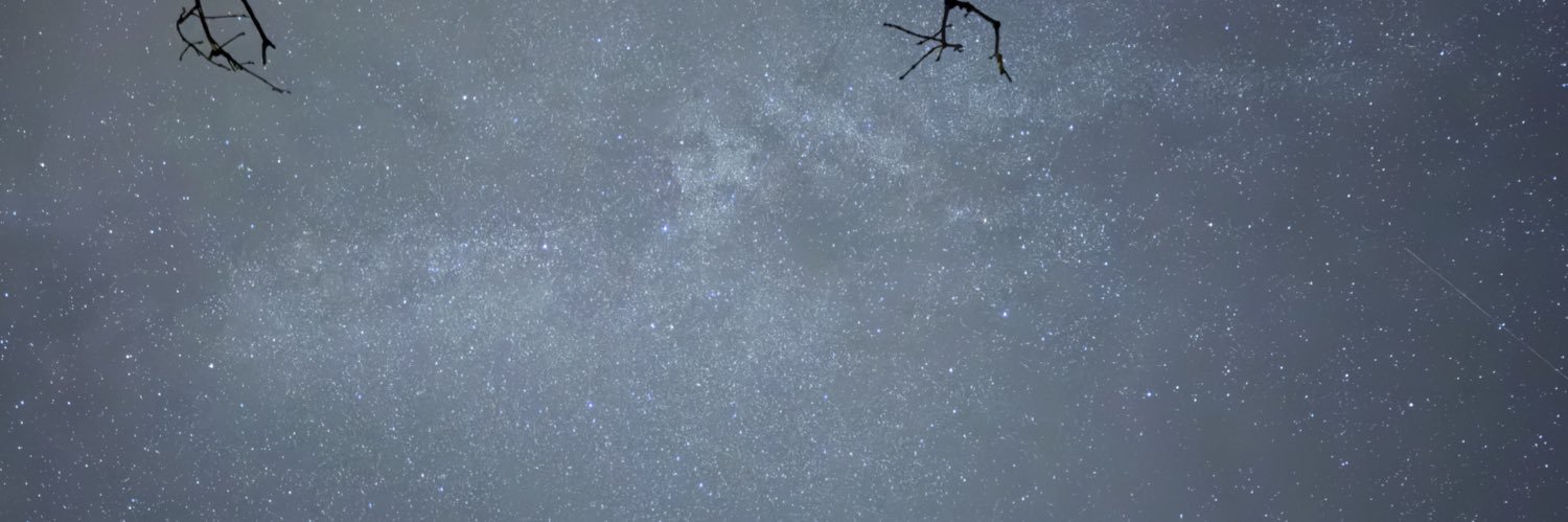 Big British cock banner