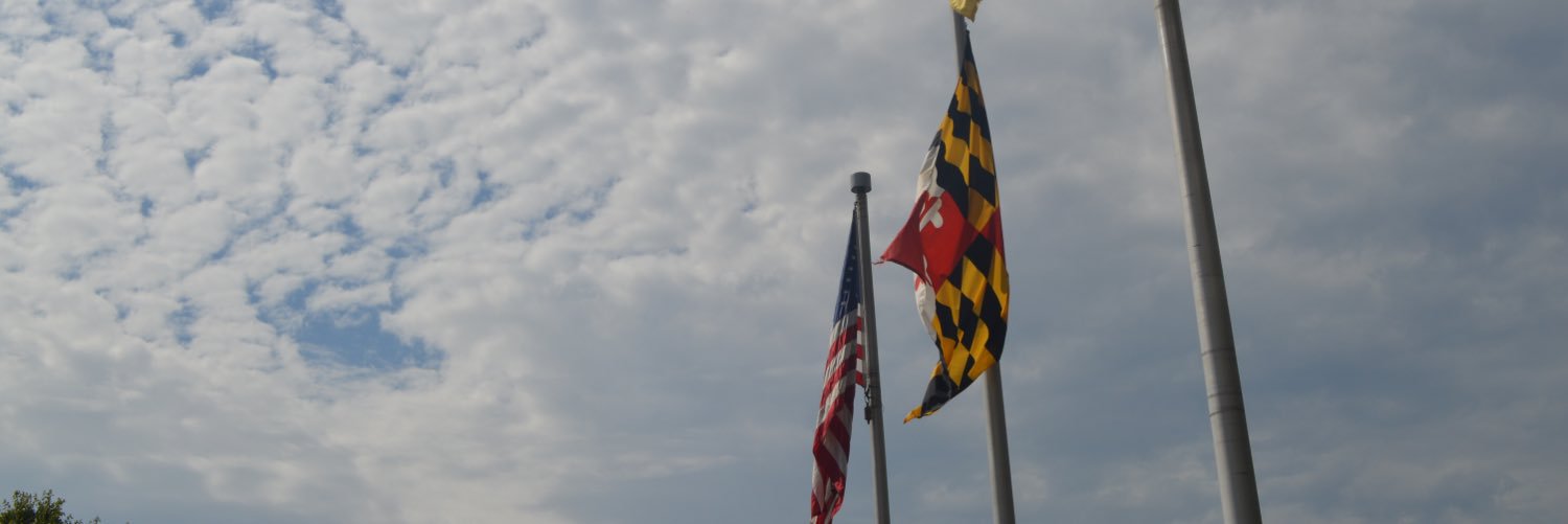 MikeAdelstein's profile banner image