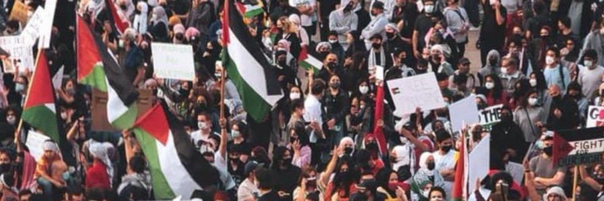 Palestine pinterest's banner