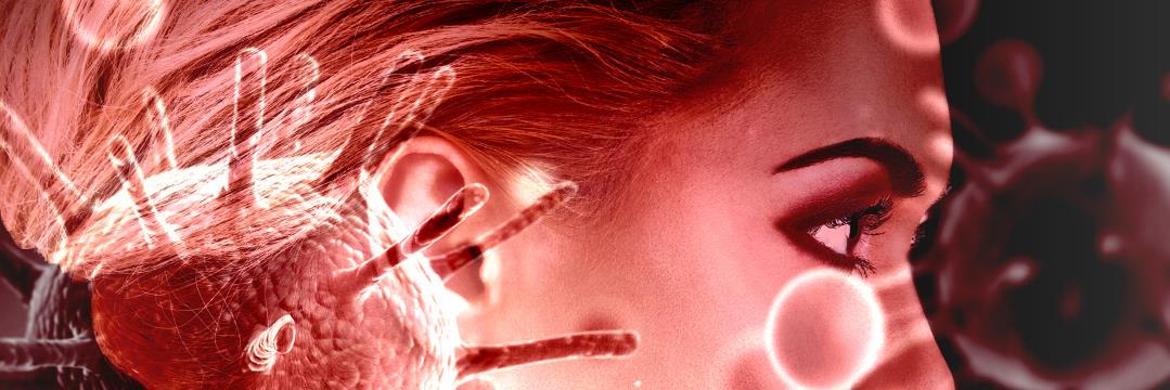 vinctalin's profile banner image