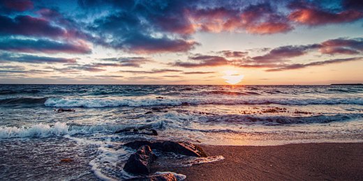 Michelle Adams banner