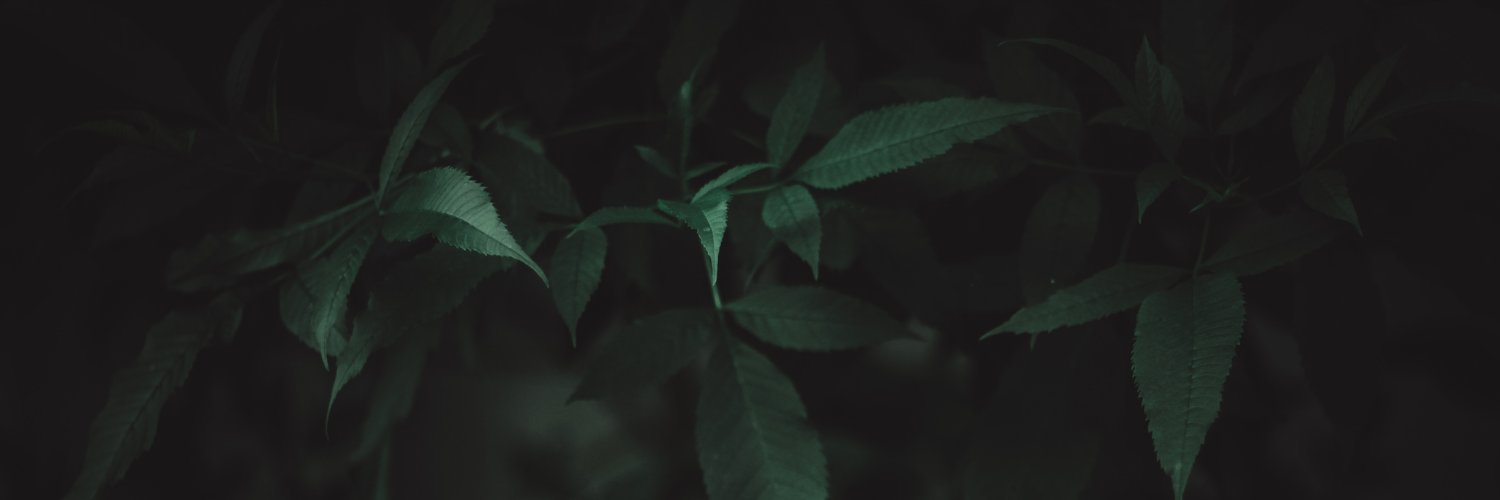 adam banner