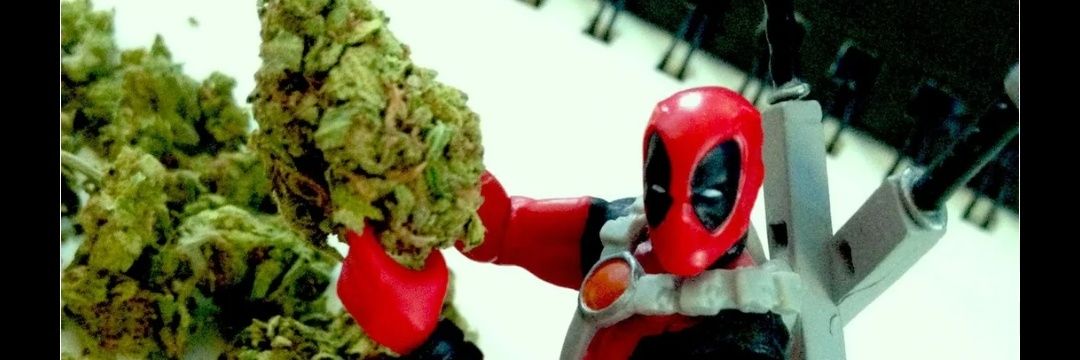 Dankpool69420 banner