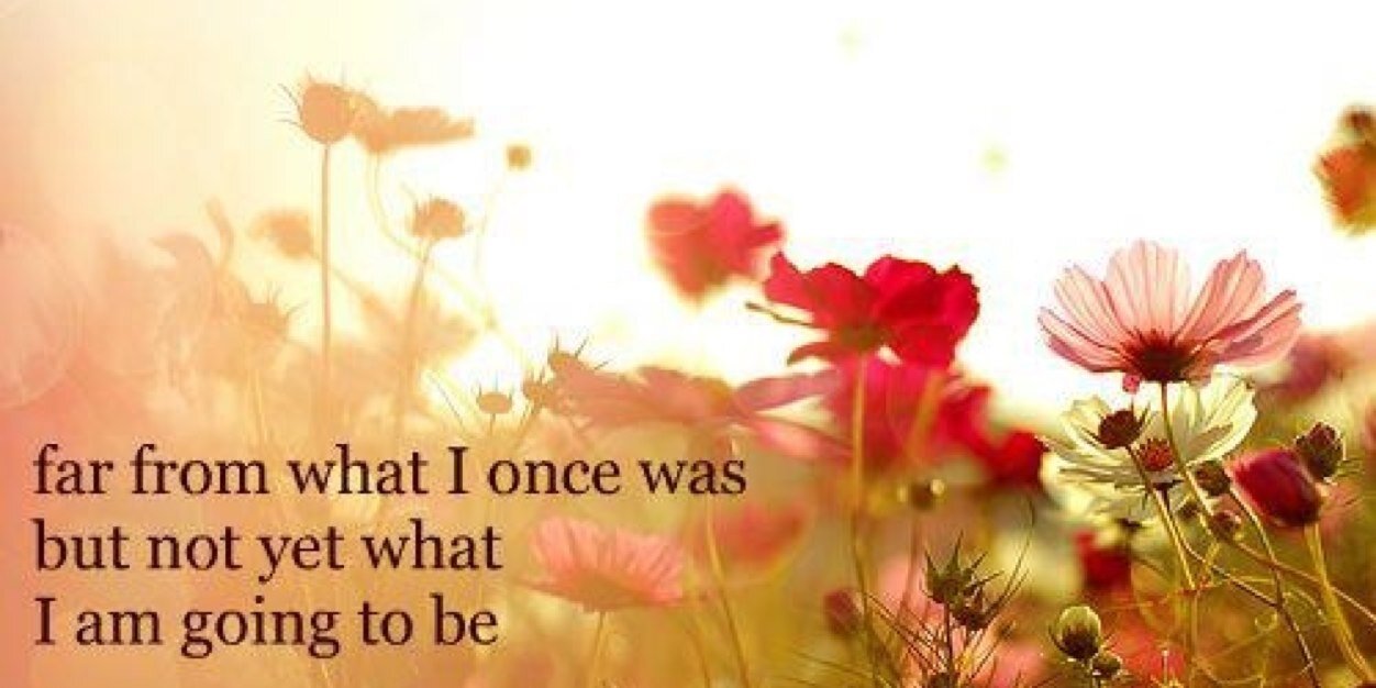 MichelleRWalton's profile banner image