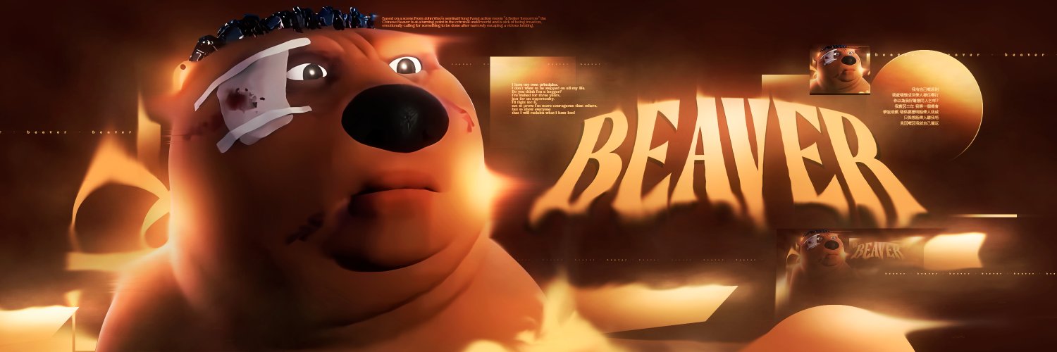 Chinese Beaver | Solana banner