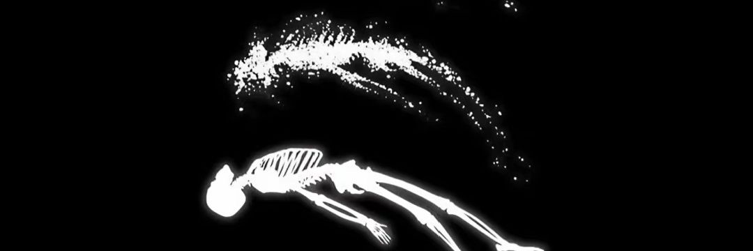 dkr_y banner