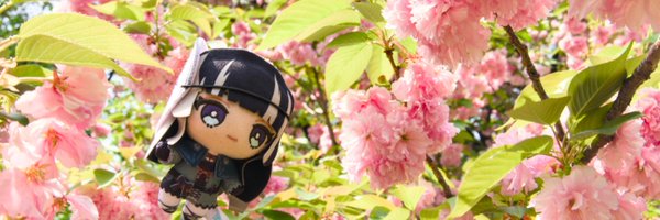 kattu_holo Profile Banner