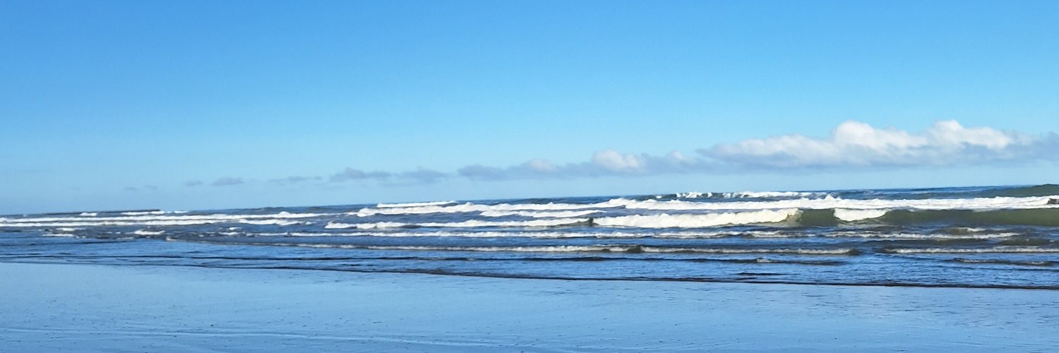 Sofía banner