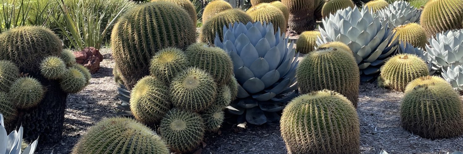 Jaime Shina Finkel banner