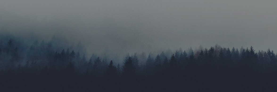 fcarlstrom's profile banner image