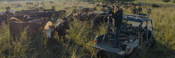 worldwithoutcow Profile Banner