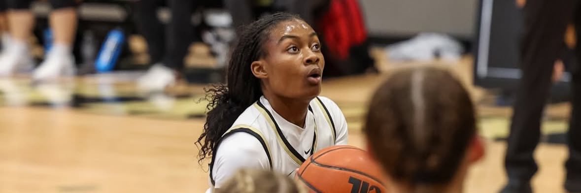 Haven Pointer banner