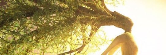 YoAdrienne_84's profile banner image