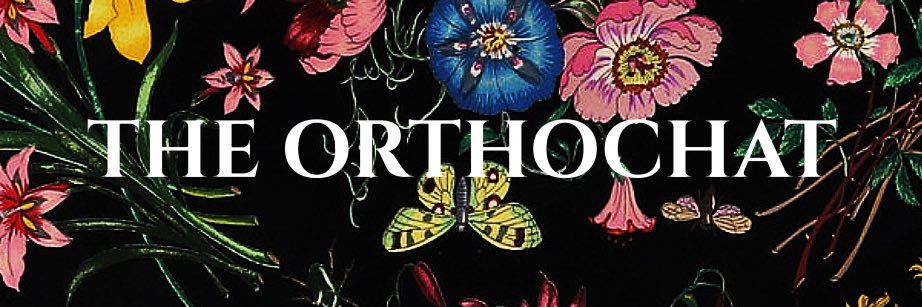 THE ORTHOCHAT's banner