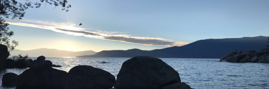 marlaay's profile banner image