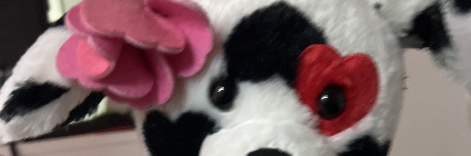 🩷Princess🍼 banner