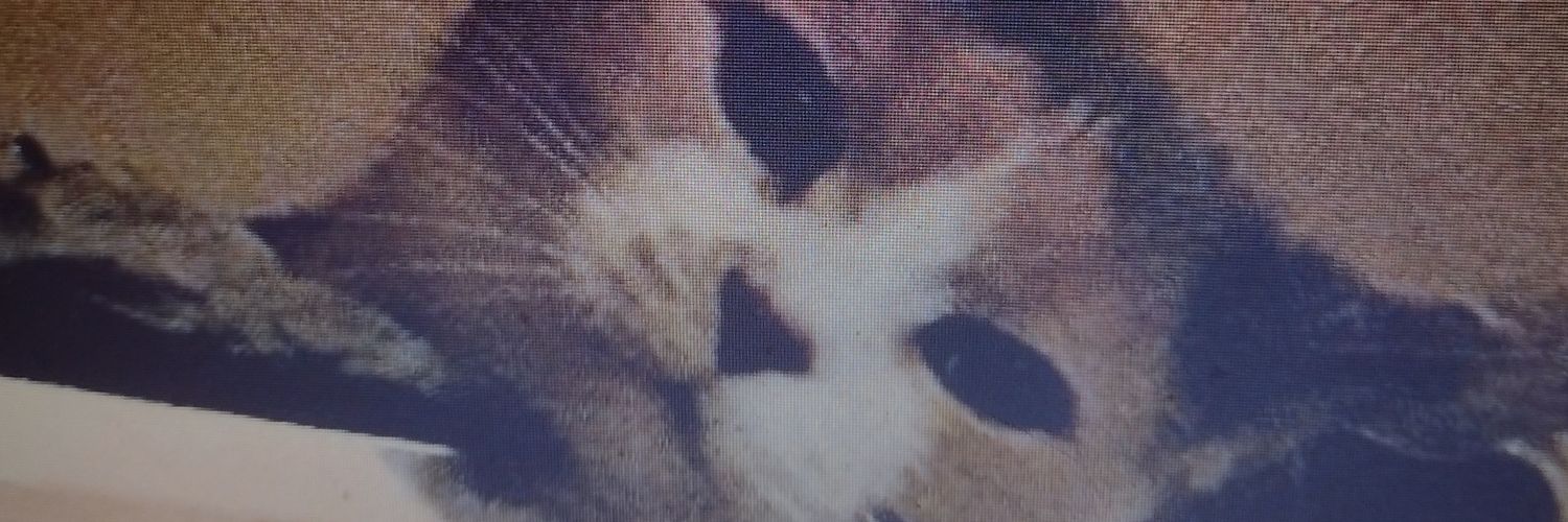 JanJan banner