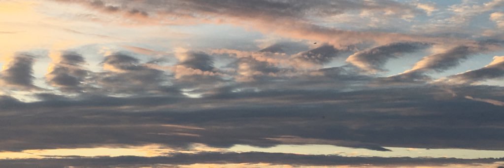 joshdaniel's profile banner image