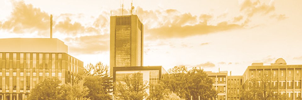 WordCamp Canada's banner
