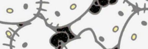 もなちゃん banner