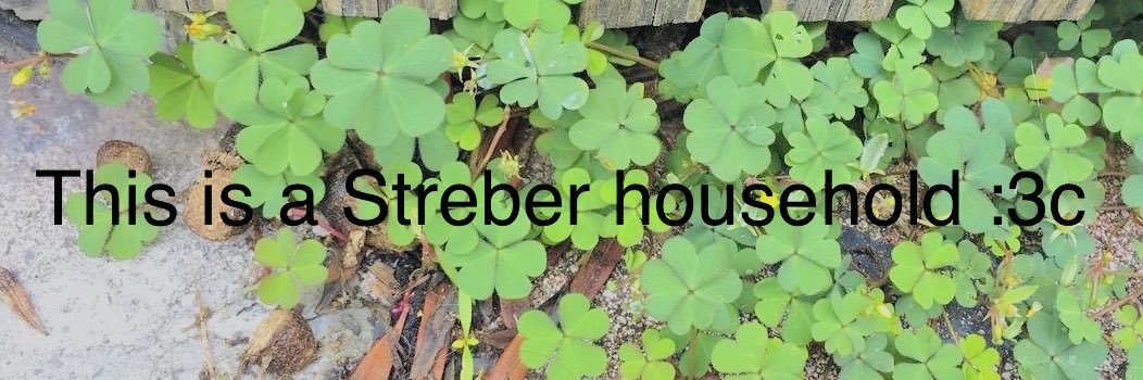 clover's banner