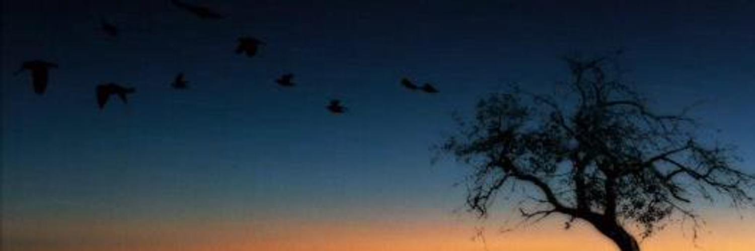 Partytrippers's profile banner image