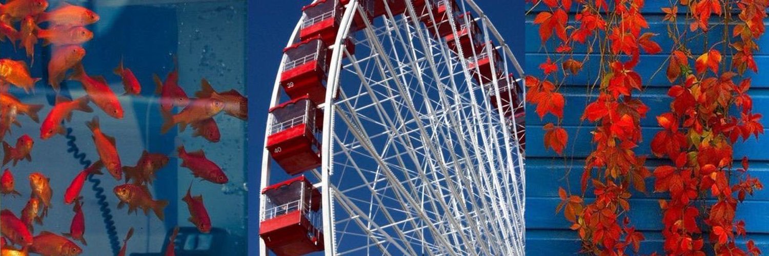 x - matt 🏒₊˚.༄ banner