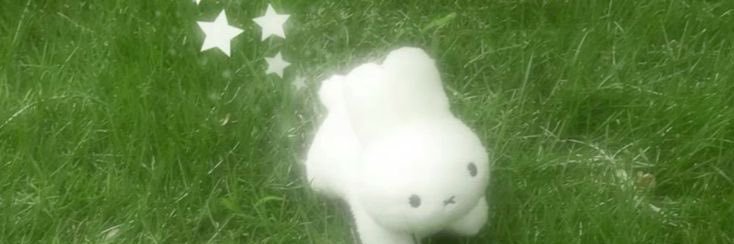 히나!! banner