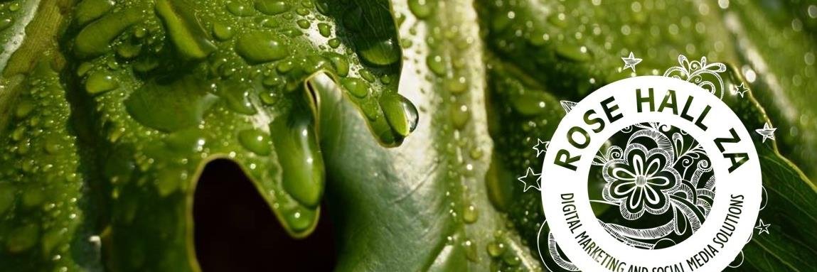 Rosemary Hall banner