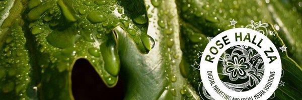 RoseHallZA Profile Banner