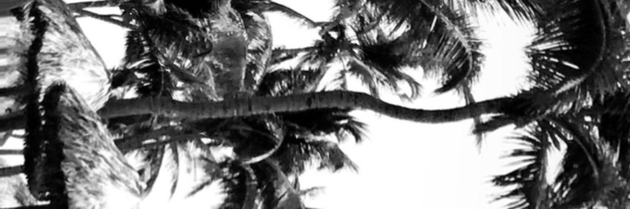 keyonatopia's profile banner image