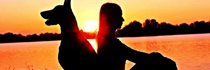 Kristina Bolten banner