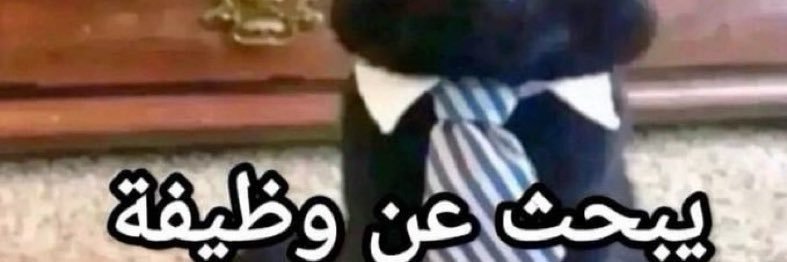 محامي ومكانيكي و كهربائي وعاطل banner
