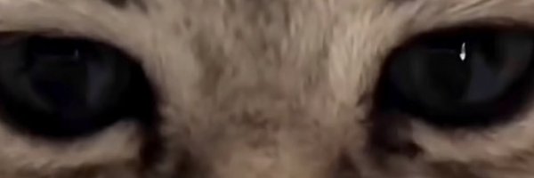 Sfx_n1 Profile Banner