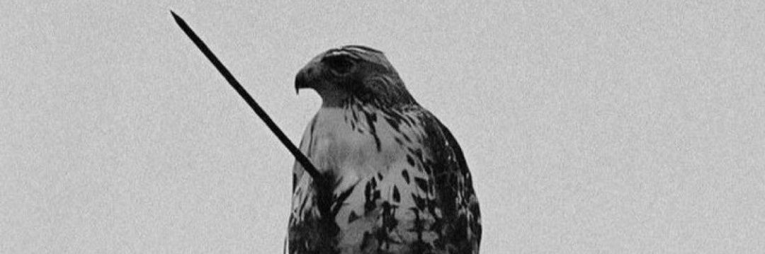 prime_2120's profile banner image