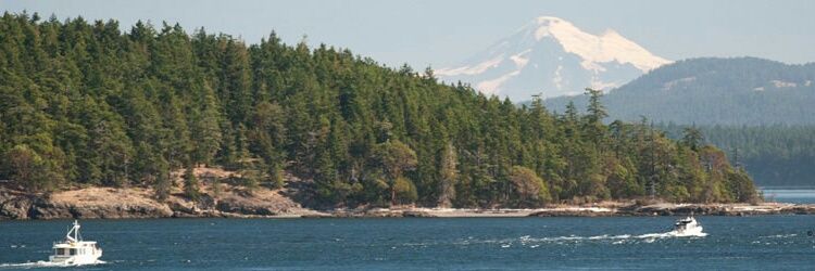 Northwesturd's profile banner image