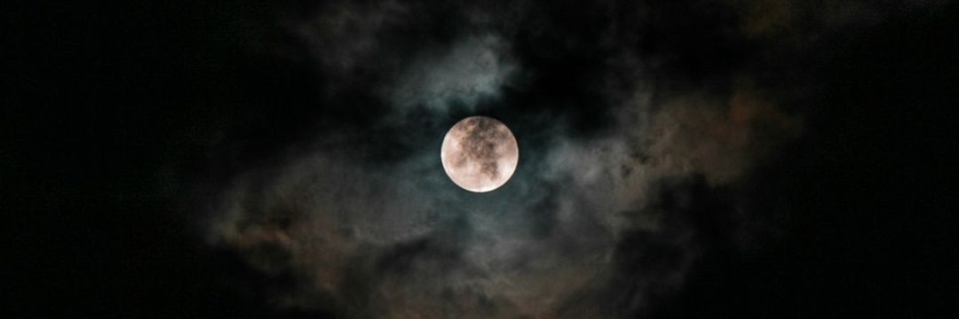 lilithwwolf's profile banner image