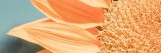 AgendaDefenda's profile banner image