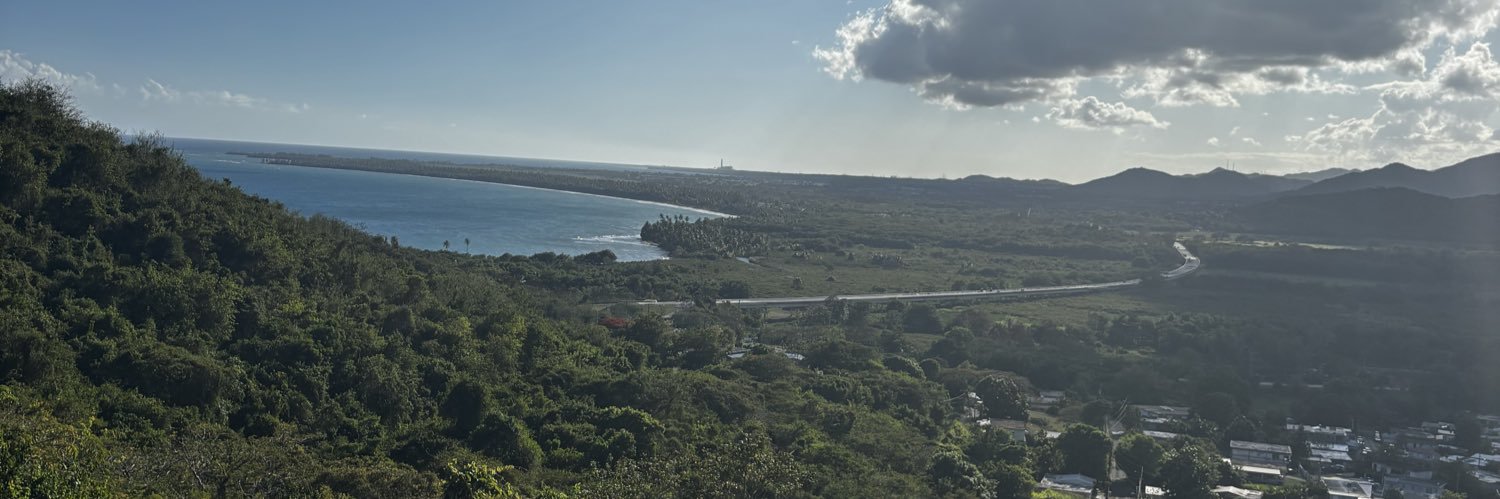 Angelivett✨🇵🇷 banner