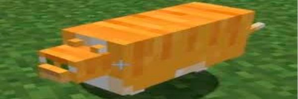 lenoxtay Profile Banner