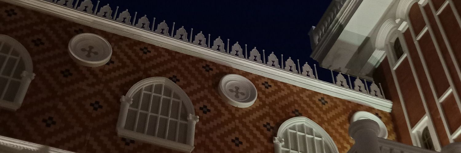 Tulip 🌷🩷 banner