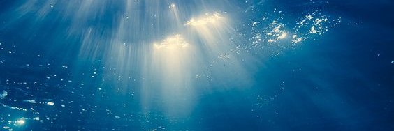 ᴘᴀᴄɪғɪᴄ banner