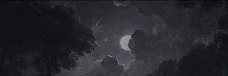 WILTEDVISIONS's profile banner image