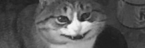 dies das 🦂 content (tired arc) banner