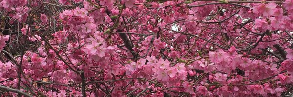 jpougnet Profile Banner