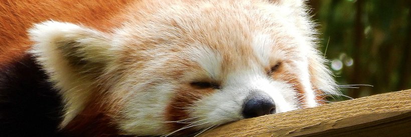 cc_tof's profile banner image