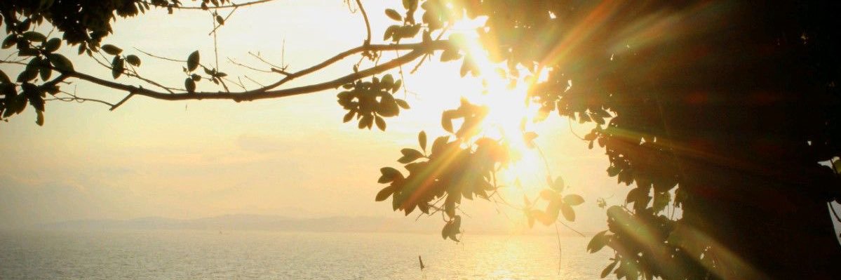 b_xlli7's profile banner image