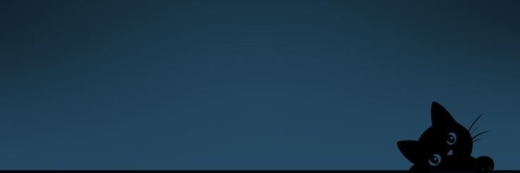 0xcryptocatx0's profile banner image
